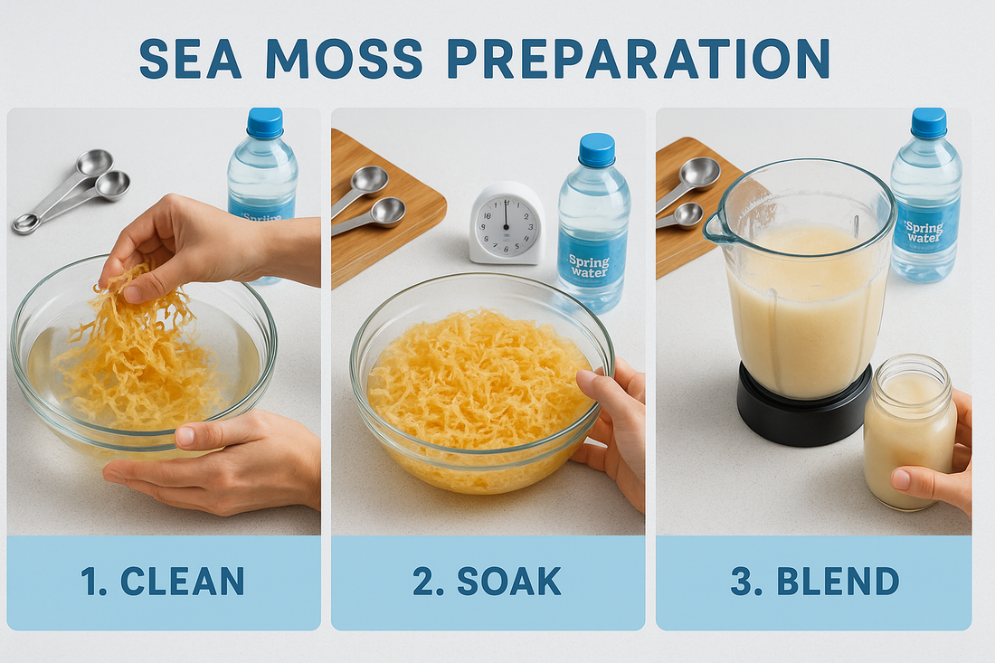 How to Use Sea Moss: Complete Beginner's Guide for 2025